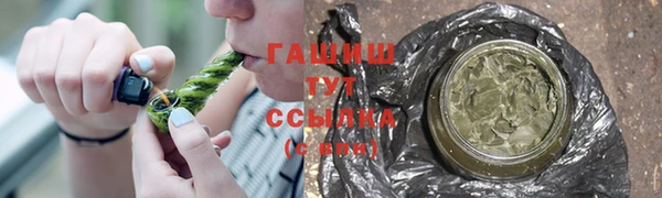 прущие грибы Инта