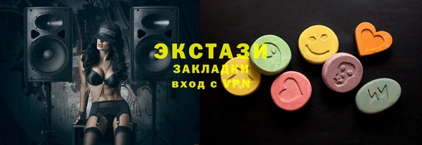 прущие грибы Инта