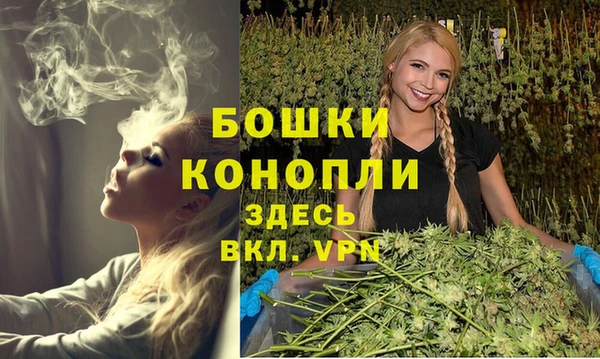 прущие грибы Инта