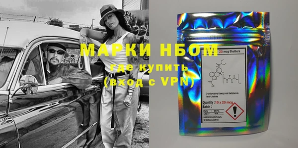 прущие грибы Инта