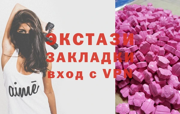 прущие грибы Инта