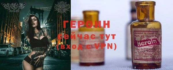 прущие грибы Инта