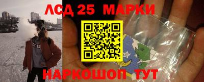 прущие грибы Кунгур