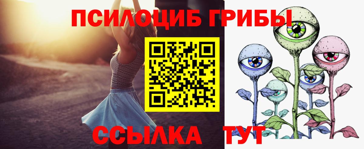 Псилоцибиновые грибы Psilocybine cubensis Карпинск