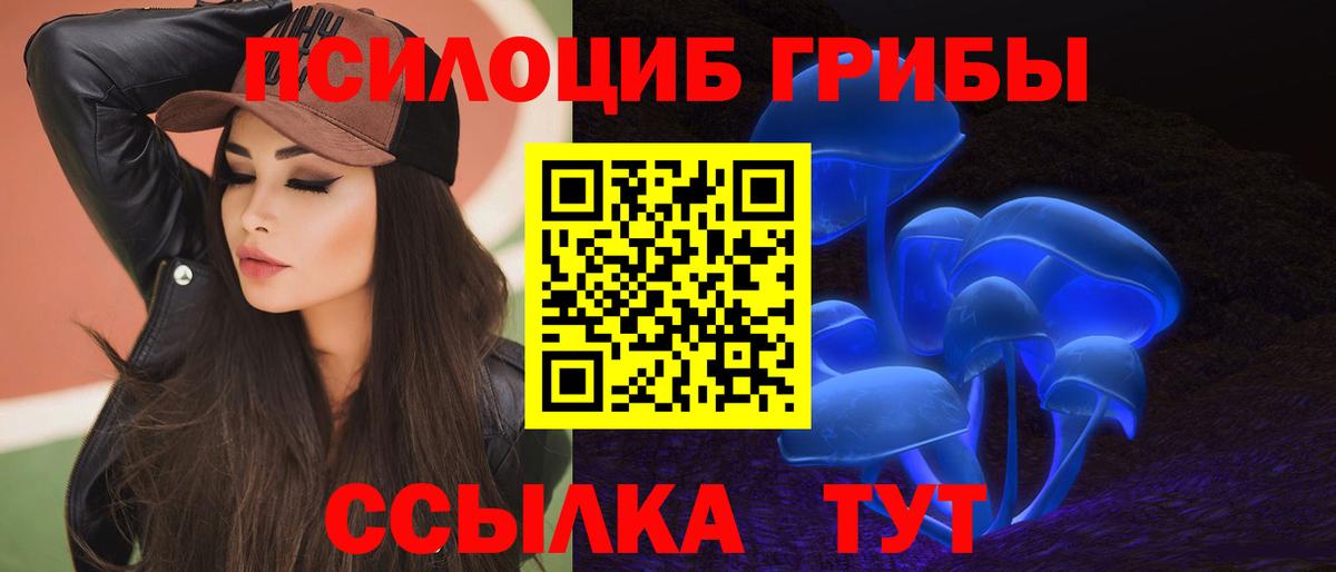 Галлюциногенные грибы Psilocybine cubensis  Галлюциногенные грибы прущие грибы  Вход с VPN  Карпинск 